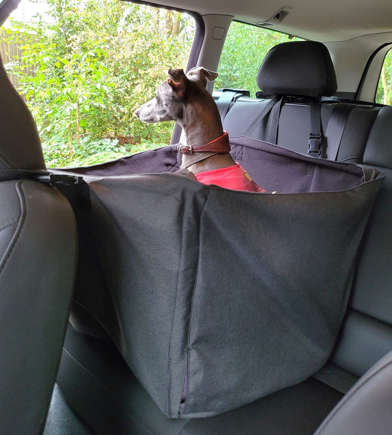 Gret Whippet looking out of a car while sitting in a Car Cube dog travel seat