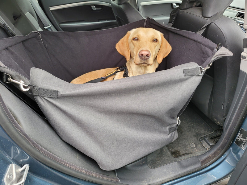 Car Cube seat protector with labrador lying down