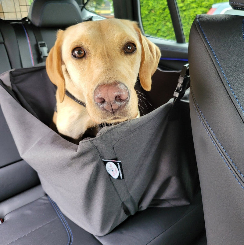 Car Cube seat protector with labrador facing front
