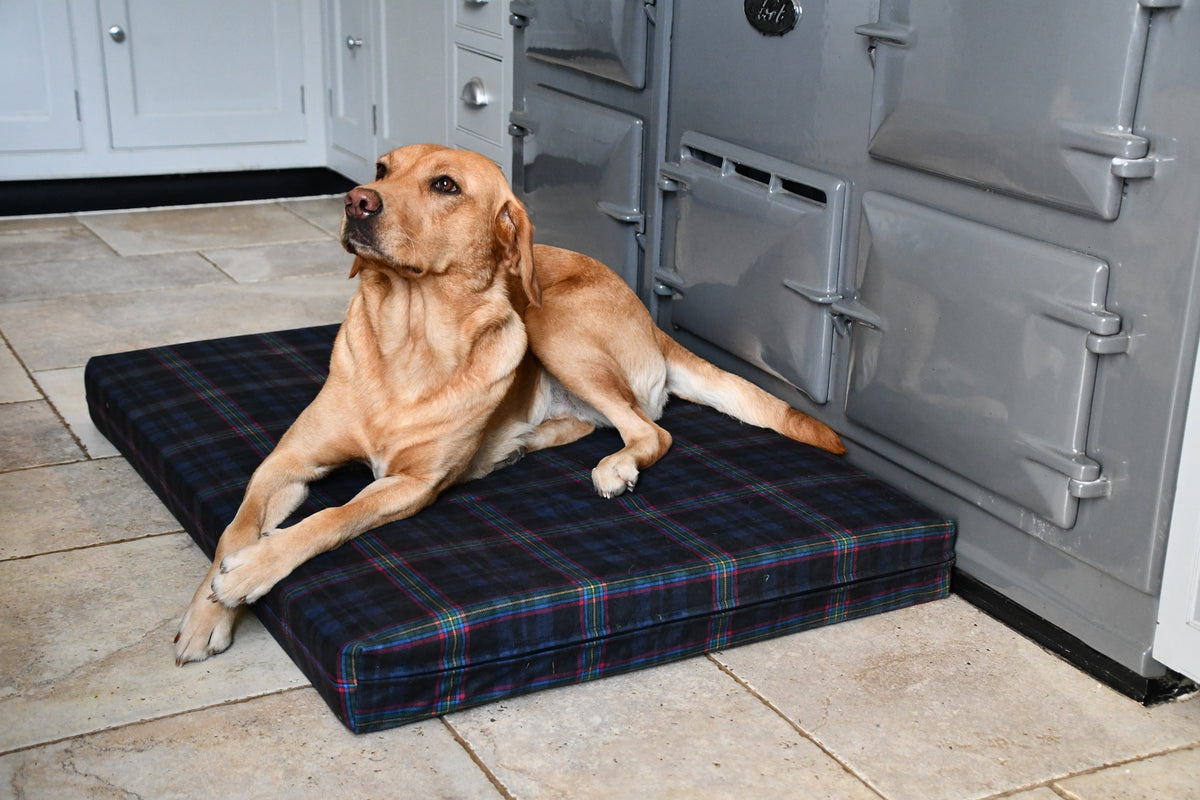 NFRSA Blue Light Tartan Active Recovery orthopaedic dog beds