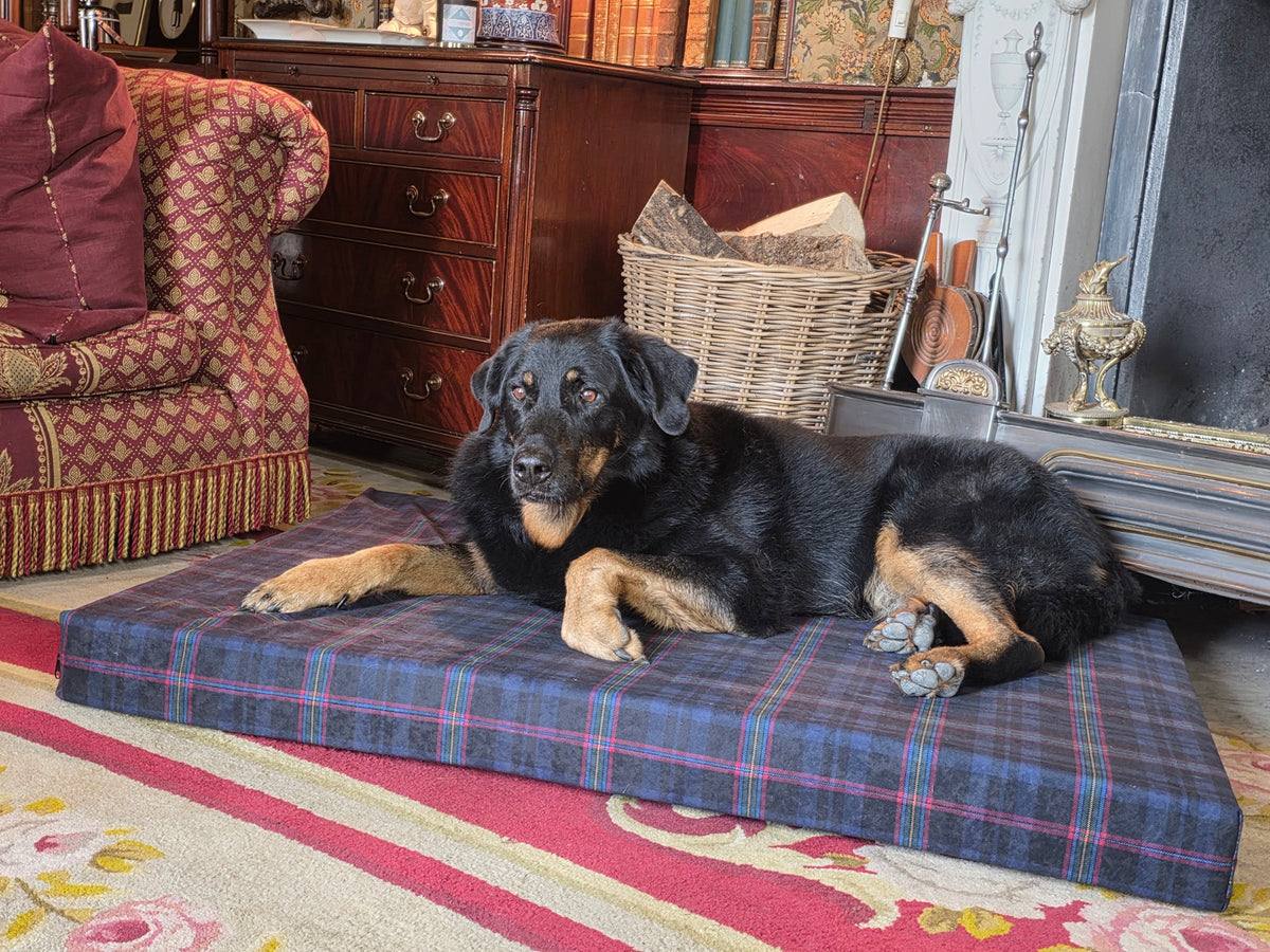 NFRSA Blue Light Tartan Active Recovery orthopaedic dog beds