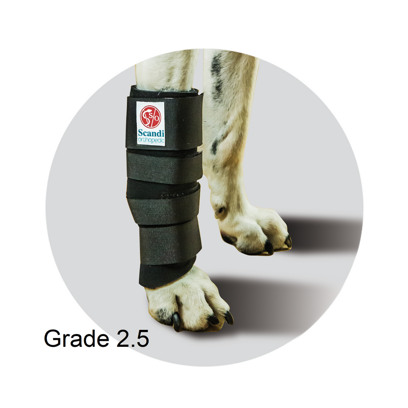 Grade 2.5 Carpal customisable orthosis for dogs comprising neoprene, Velcro and including a thermoplastic rigid element