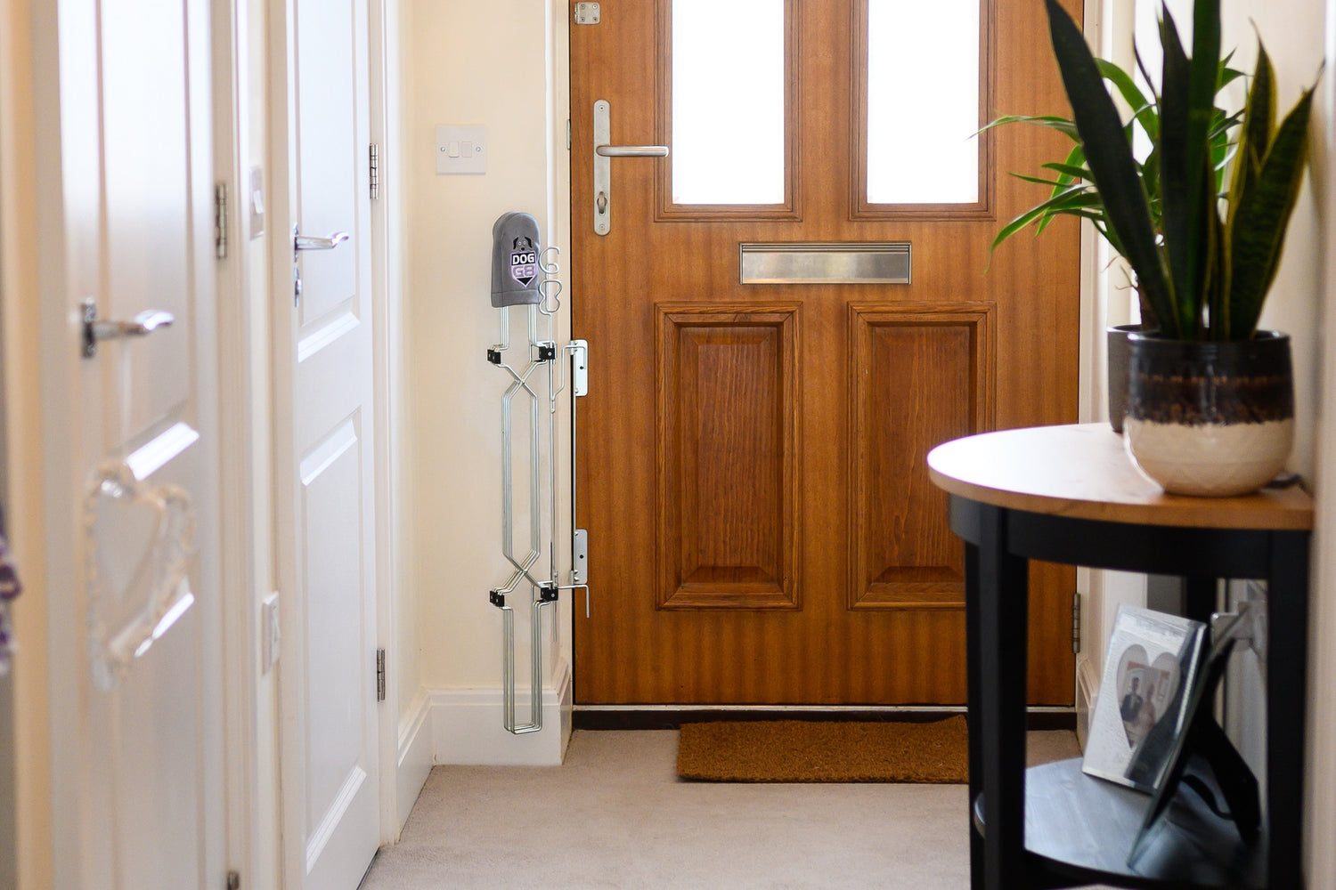 Dog-G8 safety barrier - Front Door