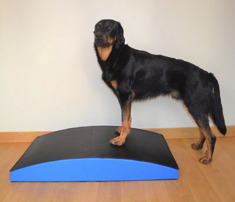 SafeRocker+ canine balance equipment - Big Dog Bed Company