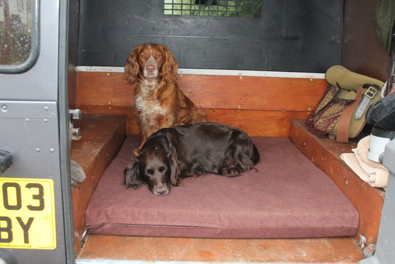 Dog Beds for Cars and Kennels - Big Dog Bed Company