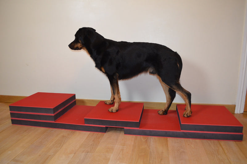 Step System - Big Dog Bed Company