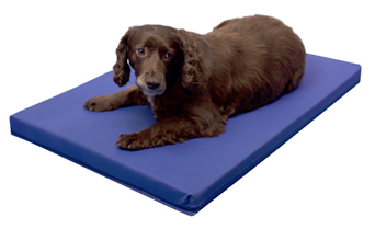 Mat for underneath dog crate hot sale