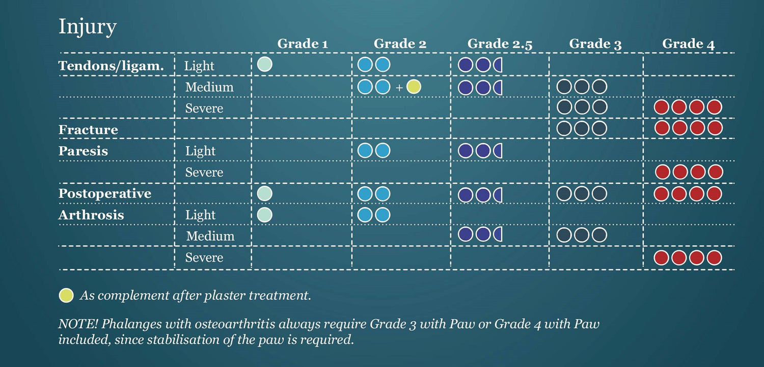 Table summarising the the level of support provided by different orthoses