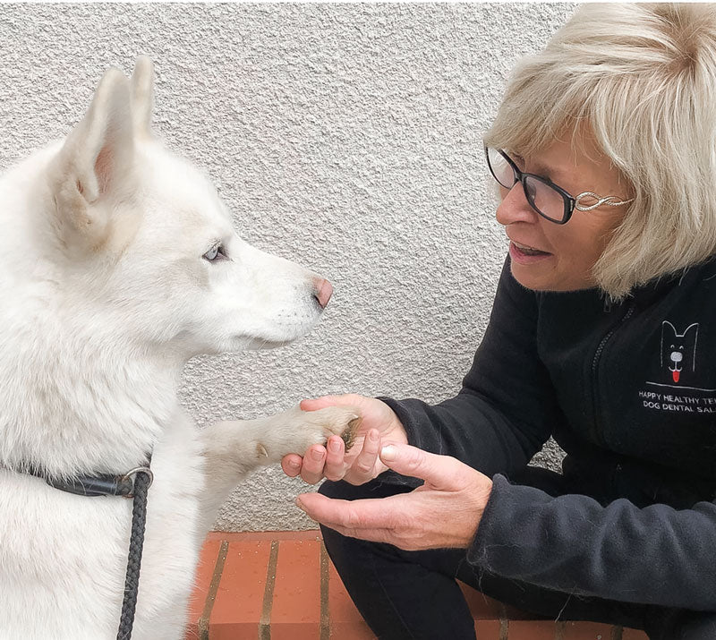 Kathy, dog day care business owner greeting a guest dog