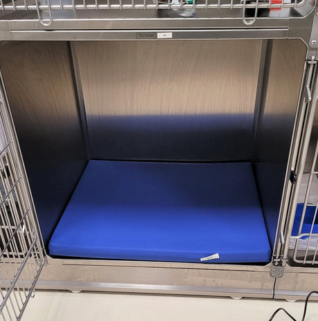 The role of kennel bedding in veterinary infection control: What to look for