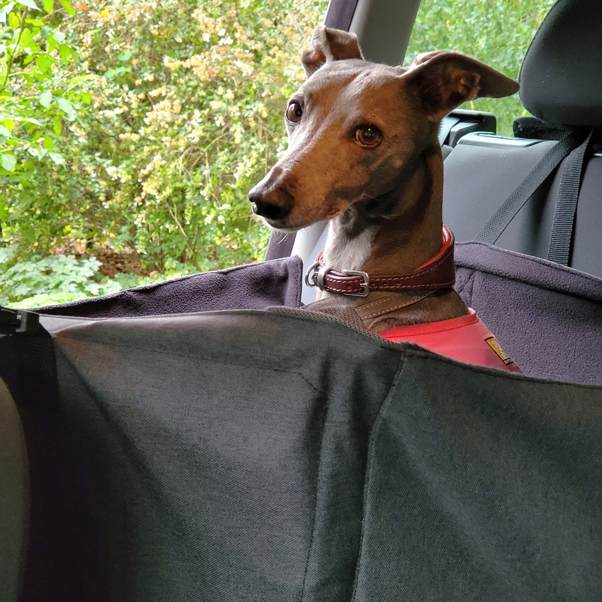Car Cube dog seat – Big Dog Bed Company