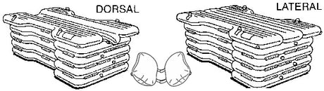 Diagram of inflatable large animal surgery table