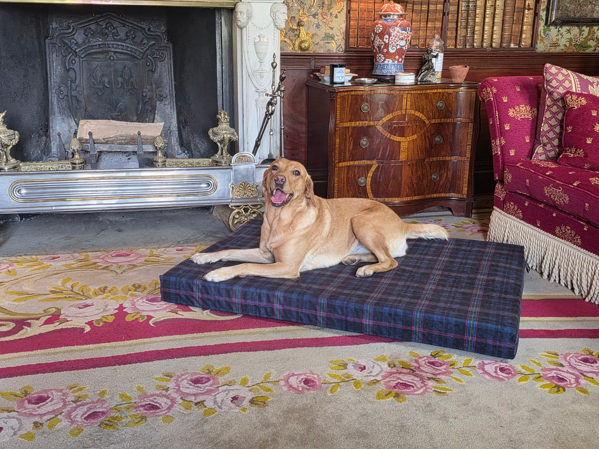 NFRSA Blue Light Tartan Active Recovery orthopaedic dog beds