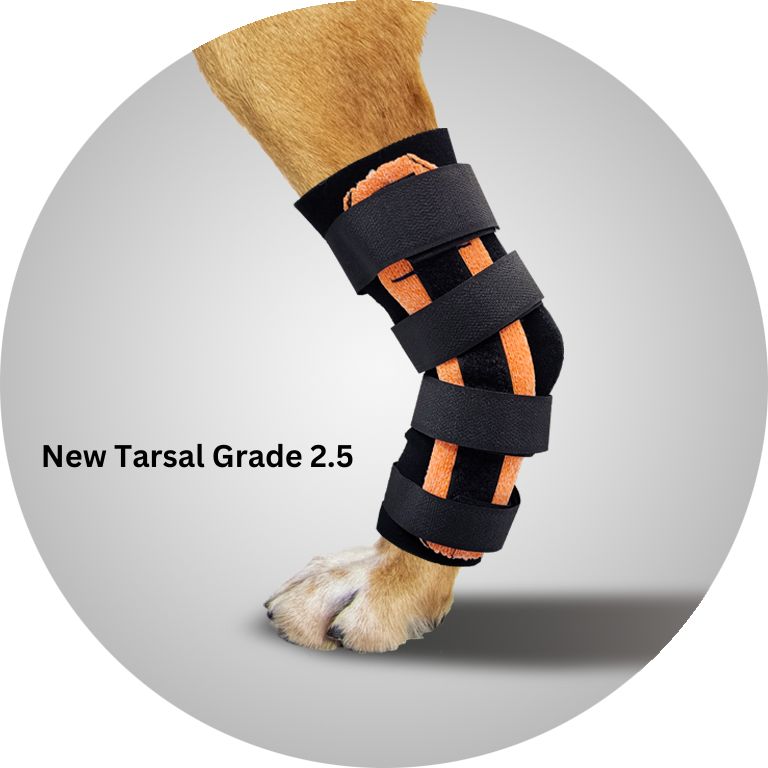 Scandi Orthopedic Grade 2.5 Tarsal orthosis close up