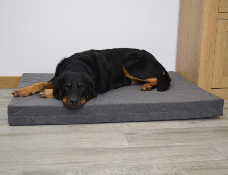 Orthopaedic Dog Beds - Big Dog Bed Company