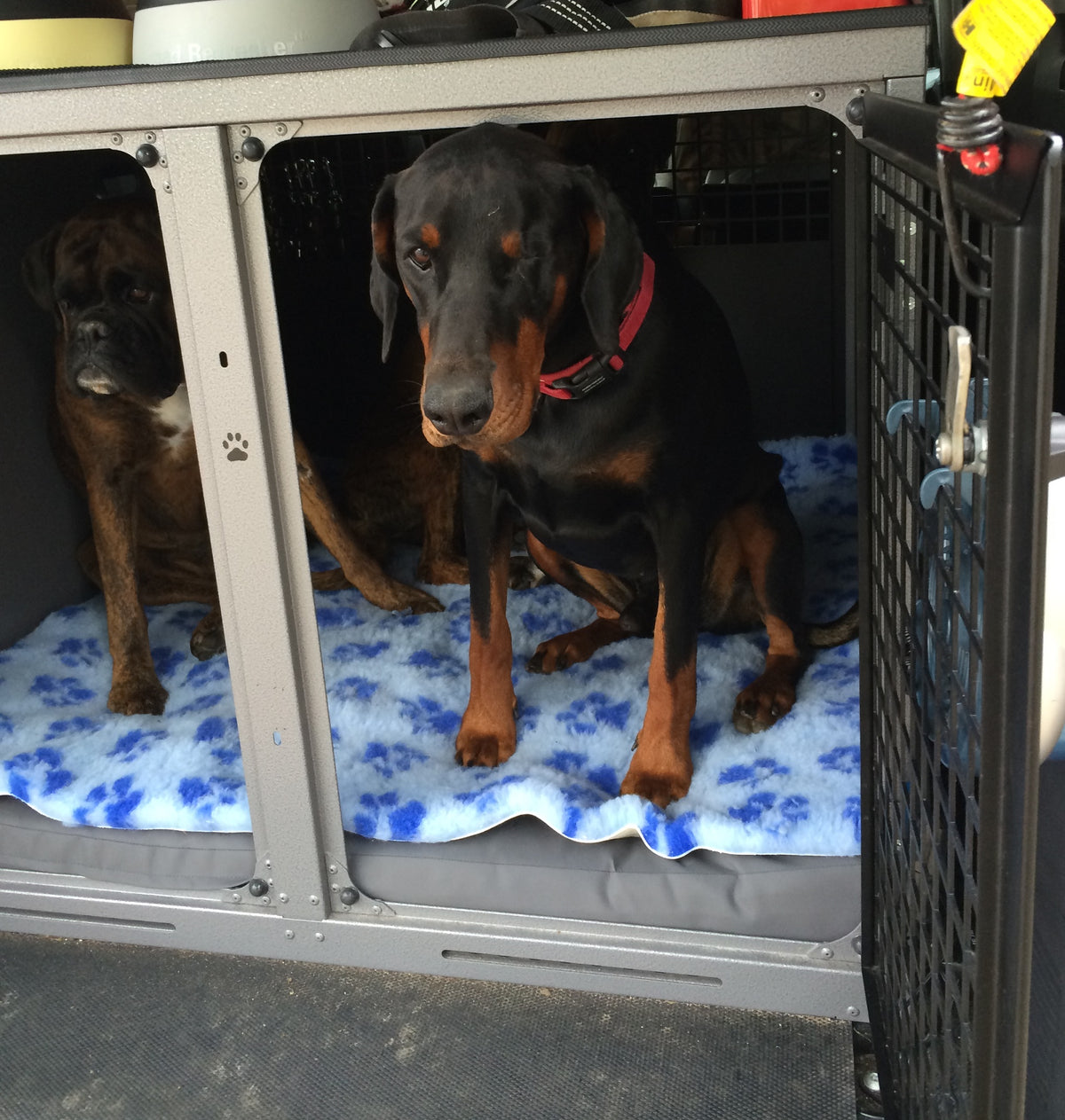 Dog Beds for Crates