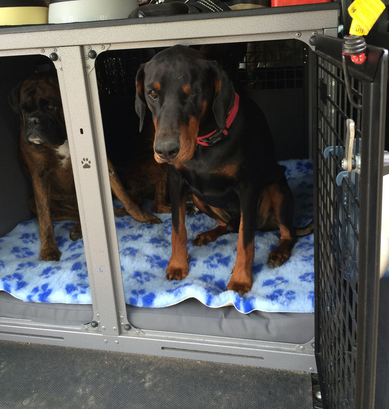 Dog Beds for Crates - Big Dog Bed Company