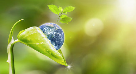 Helping the Planet with a GreenR Carbon Offset