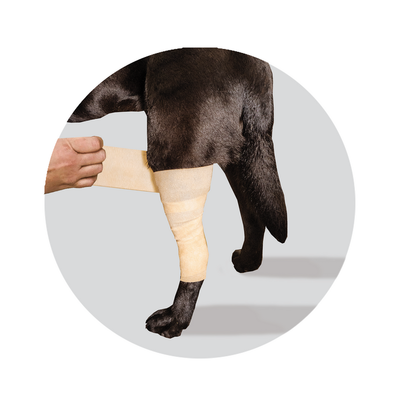 Cooling Compression Bandage to reduced swelling and pain to an injury or post-operatively being applied to a dog's leg
