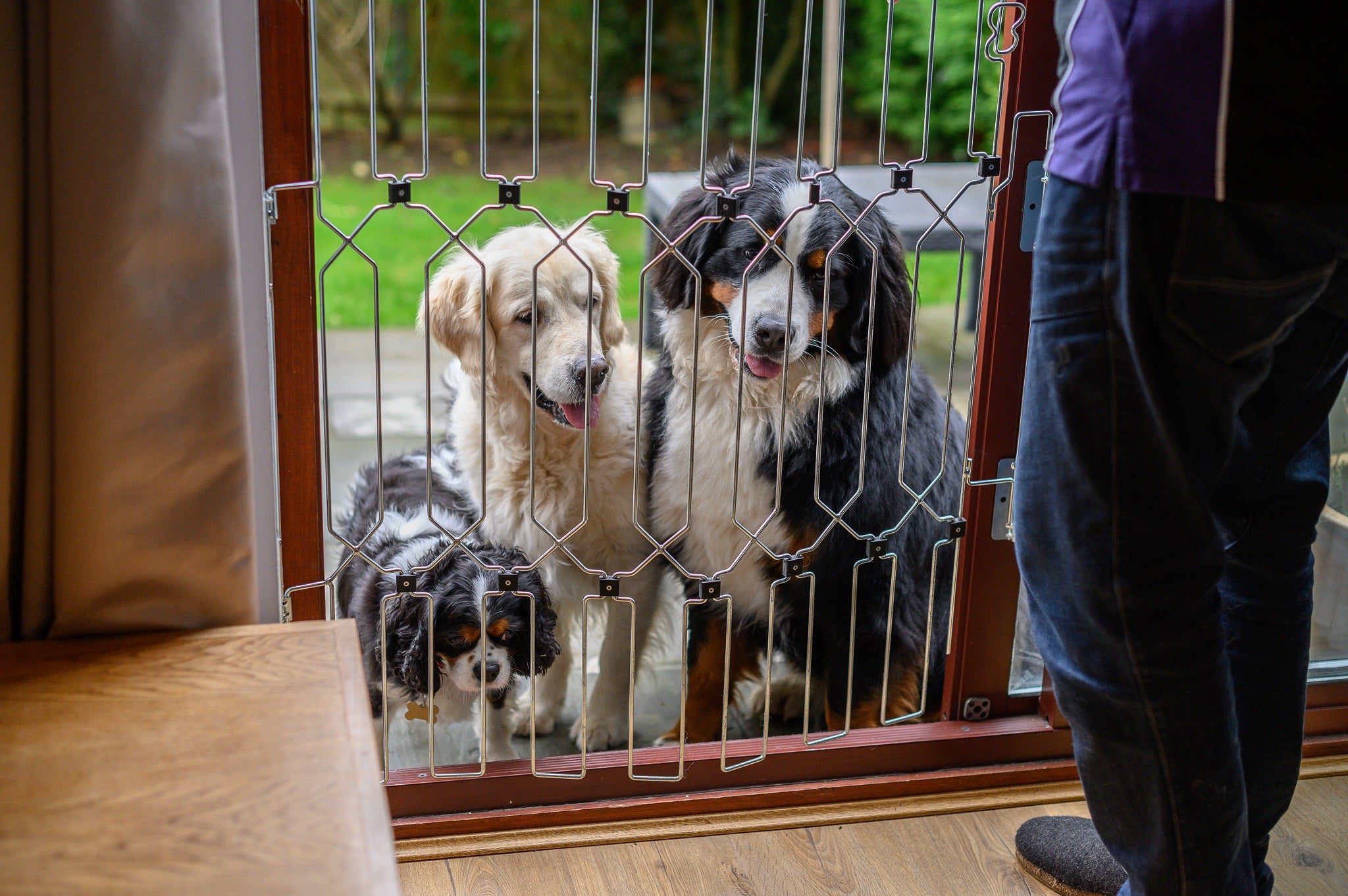 Metal dog barrier hotsell
