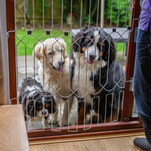 Dog-G8 Flexible Door Barrier