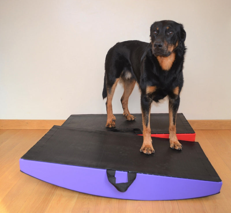 SafeRocker+ canine proprioception equipment - Big Dog Bed Company