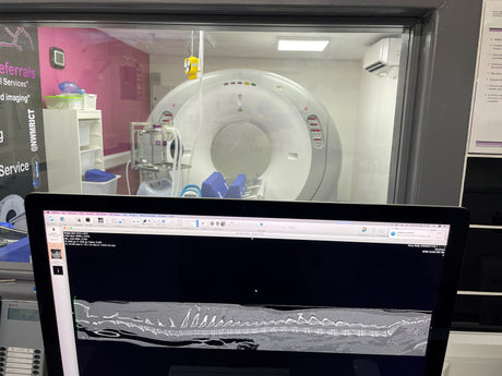 Veterinary CT scanner with Flexi-Wedge positioning aids