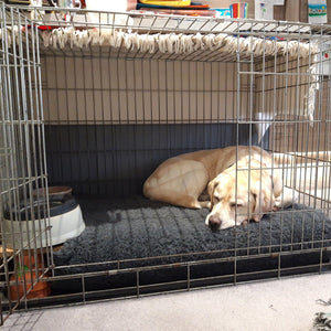 Incontinence Beds for Dogs