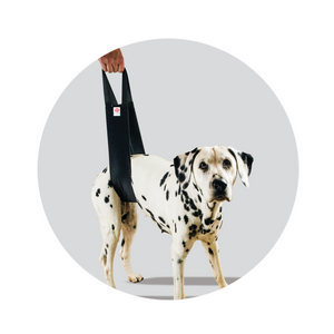 Helping Hand dog support standard for occasional support of dogs hips and spine