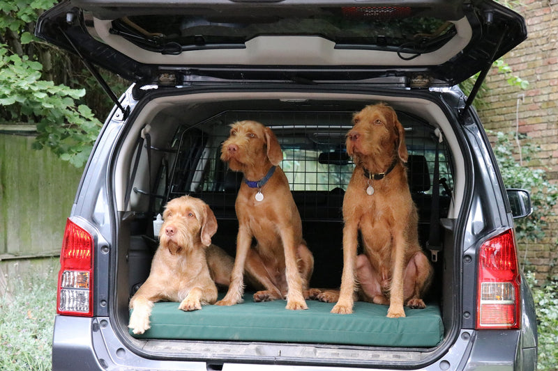 Dog Beds for Cars and Kennels - Big Dog Bed Company