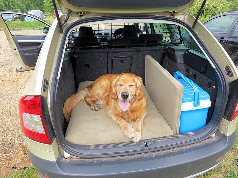 Dog Beds for Cars and Kennels - Big Dog Bed Company