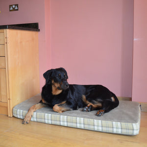 Signature Dog Beds