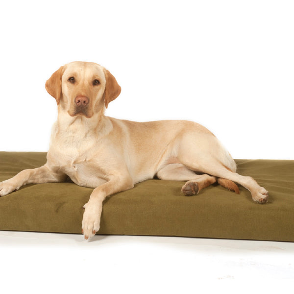 Signature Dog Beds