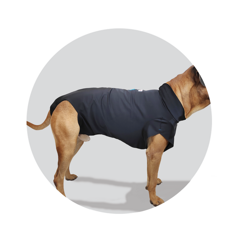 Full body cover to protect bandages, injuries or skin abrasions on dogs