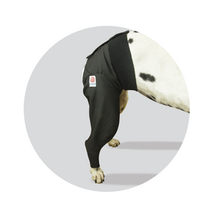 Hind Limb Medical Protection Cover
