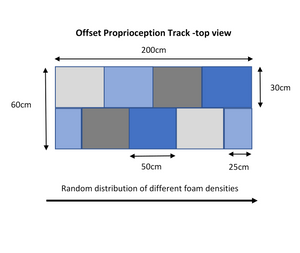 Proprioception Tracks - Big Dog Bed Company