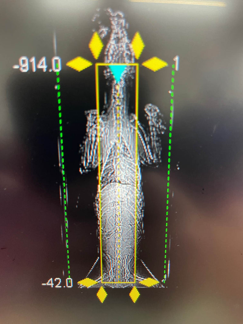 Spinal canine CT scan achieved using Flexi-Wedge veterinary positioning aid