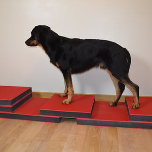 Step System Blocks