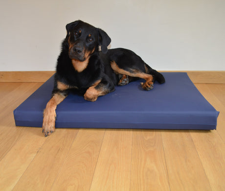 Pressure Relief Dog Beds - Big Dog Bed Company