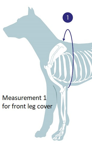 Measurement guide for foreleg wound protection cover for dogs