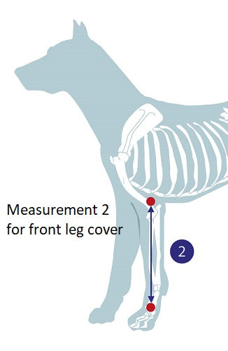Measurement guide for front leg bandage protection cover for dogs
