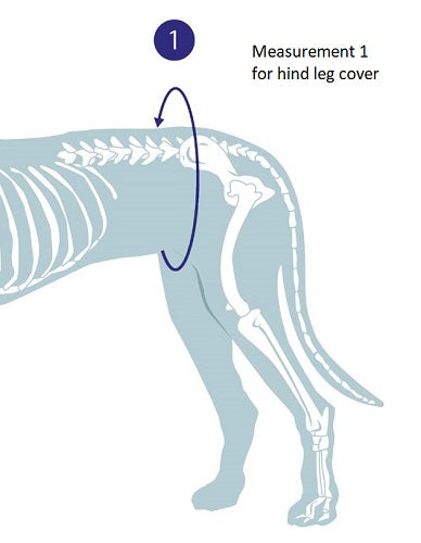 Measurement guide for hind leg bandage cover for dogs
