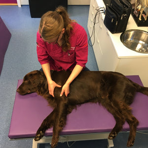 Therapy Mats for Tables