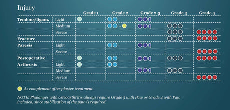 Table summarising the the level of support provided by different orthoses