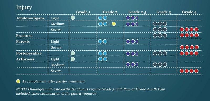Table summarising the the level of support provided by different orthoses