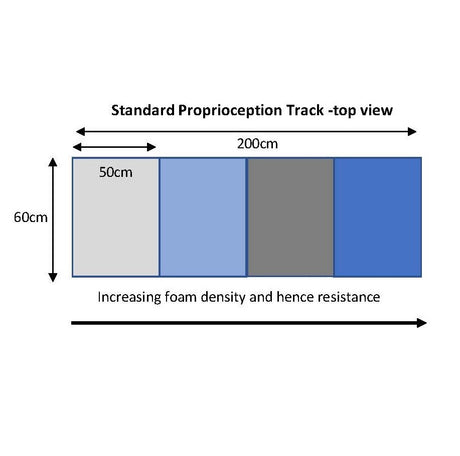 Proprioception Tracks - Big Dog Bed Company